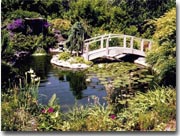 Click for live view of our Backyard